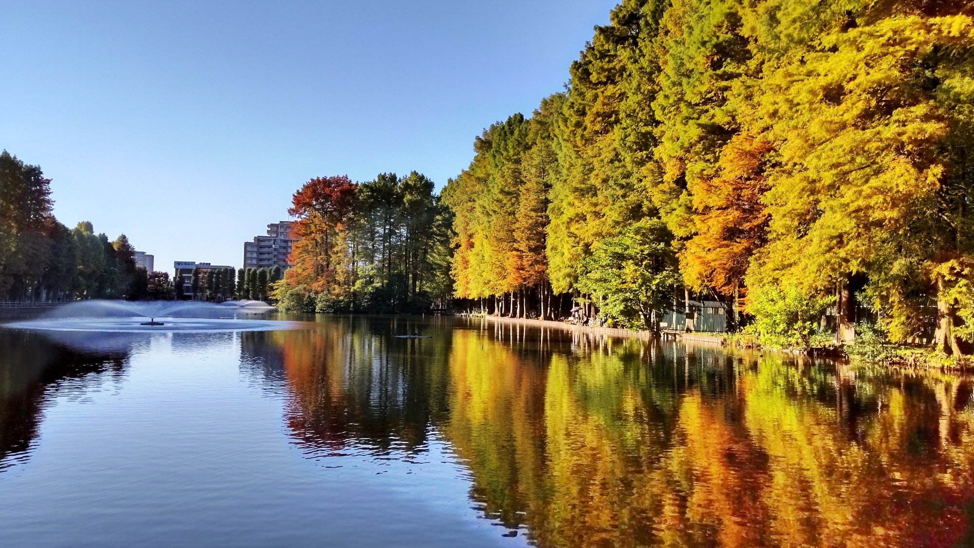 🌳 사이타마 시영 별소늪 공원(사이타마 시에이 벳쇼누마 코엔) 이미지 1